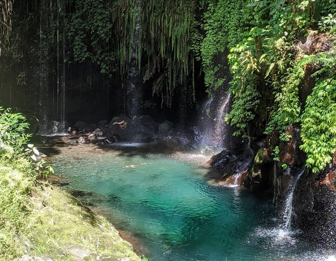 Menikmati Keindahan Alam di Tempat Wisata Bhumi Bambu Baturraden