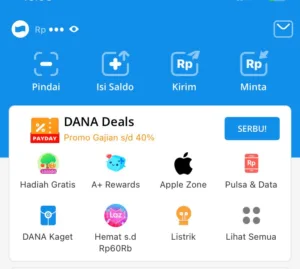 Tampilan dompet digital Dana