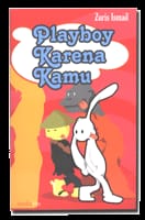 Ulasan Novel Playboy Karena Kamu: Perjalanan Cinta Seorang Playboy Tulen