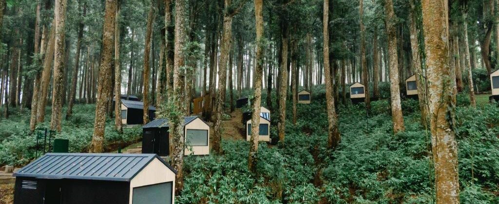 Liburan Seru di Bobocabin Purwokerto : Alam, Penginapan dan Wisata Jadi Satu Paket