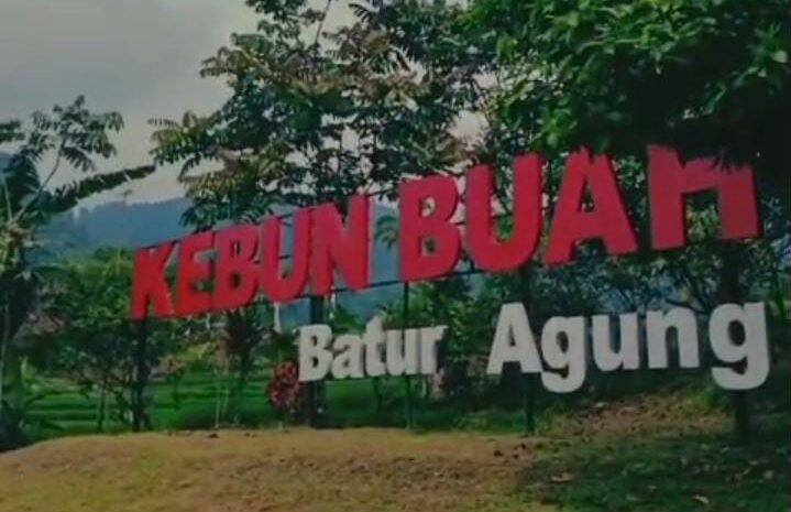 Kebun Buah Batur Agung: Liburan Seru dengan Vibes Alam