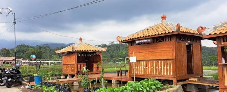 Berburu Sunset di Desa Wisata Minapadi Panembangan Cilongok