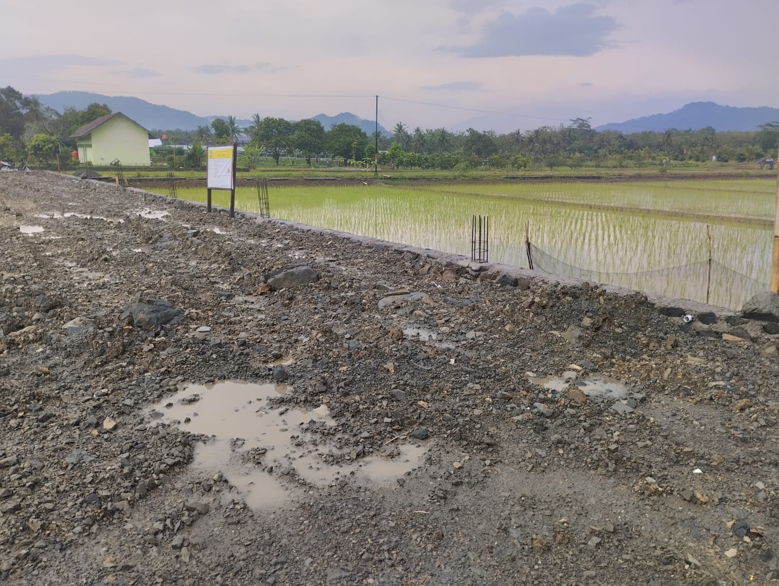 Alih Fungsi Lahan Pertanian Untuk Pembangunan Taman Kanak-Kanak