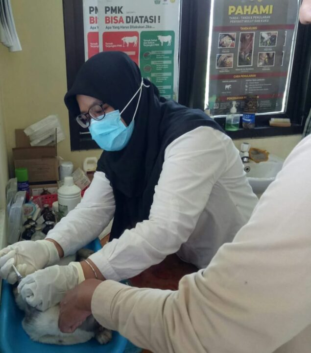 Kenali dan Cegah Virus Rabies Pada Hewan Peliharaan